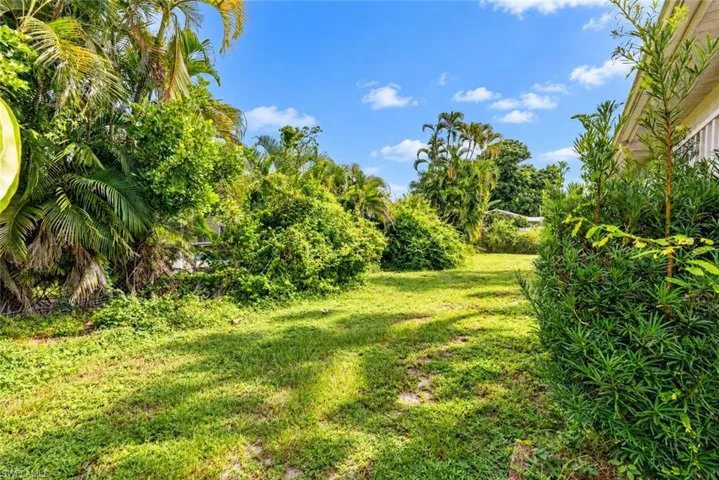 Expansive green space featuring diverse foliage and a clear sky backdrop