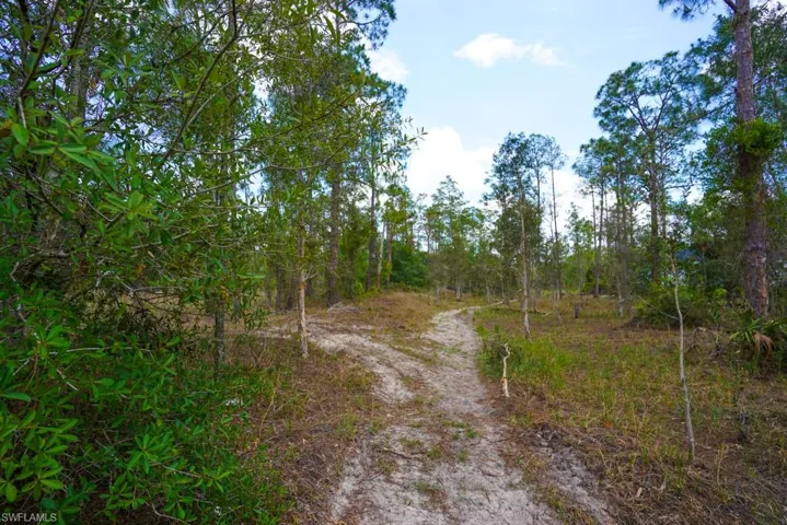 1219 Mcarthur Ave, Lehigh Acres, Florida 33972