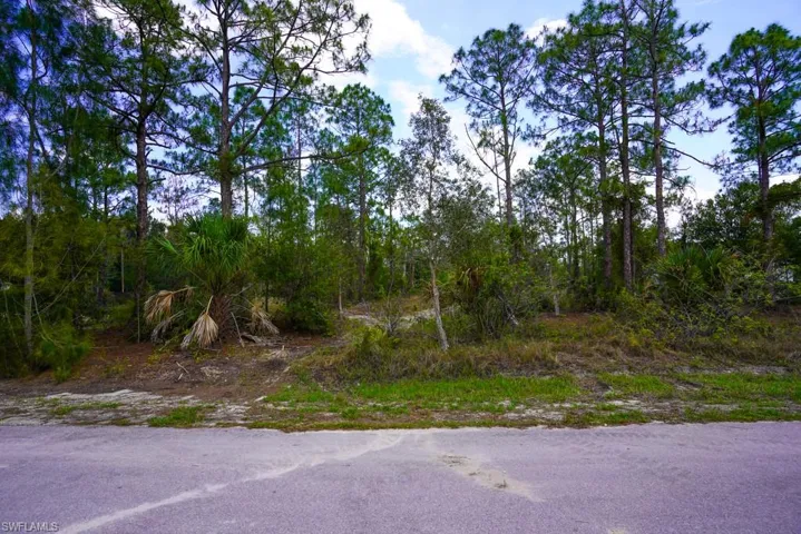 1219 Mcarthur Ave, Lehigh Acres, Florida 33972