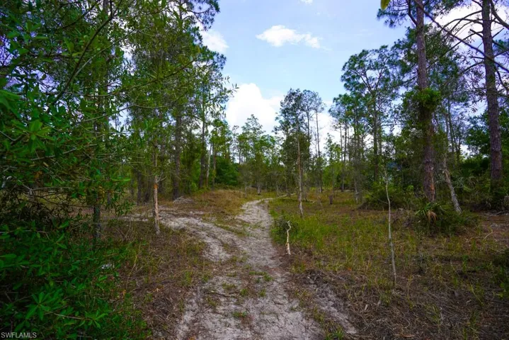 1219 Mcarthur Ave, Lehigh Acres, Florida 33972