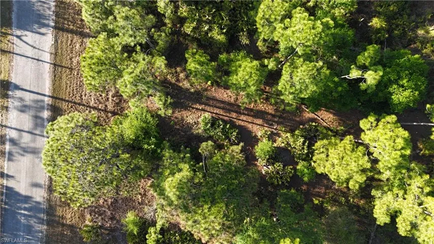 Aerial view with a wooded view