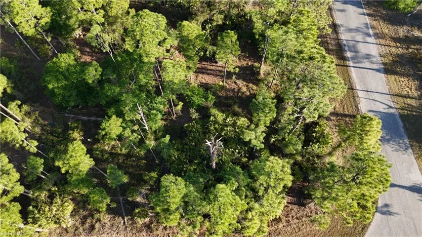 Bird's eye view featuring a wooded view