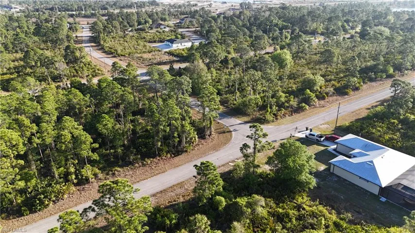 Bird's eye view featuring a forest view