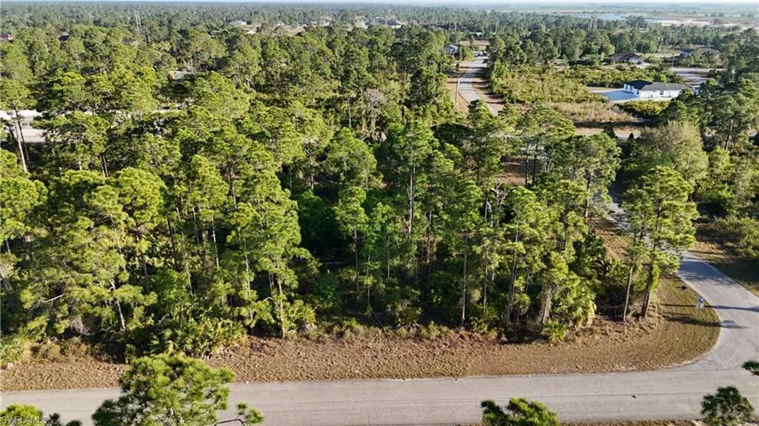 Aerial view featuring a view of trees