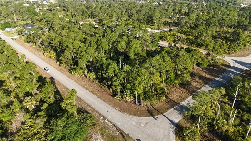 Bird's eye view with a forest view