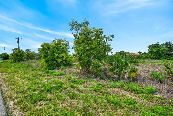 301 Nw 5th Ter, Cape Coral, Florida 33993