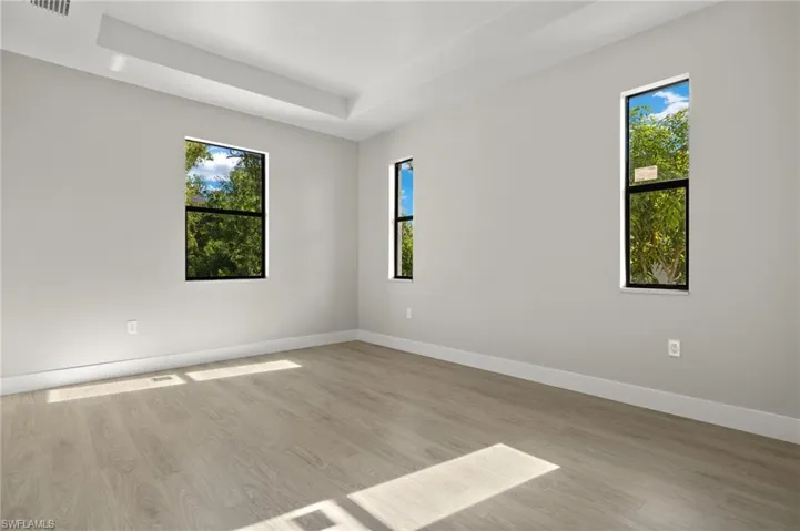 Unfurnished room with a raised ceiling, a healthy amount of sunlight, and light hardwood / wood-style floors