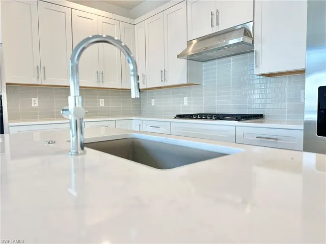 STainless steel farmhouse sink and pull-down faucet