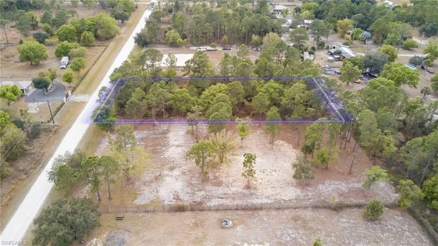 Drone / aerial view of a tree filled landscape