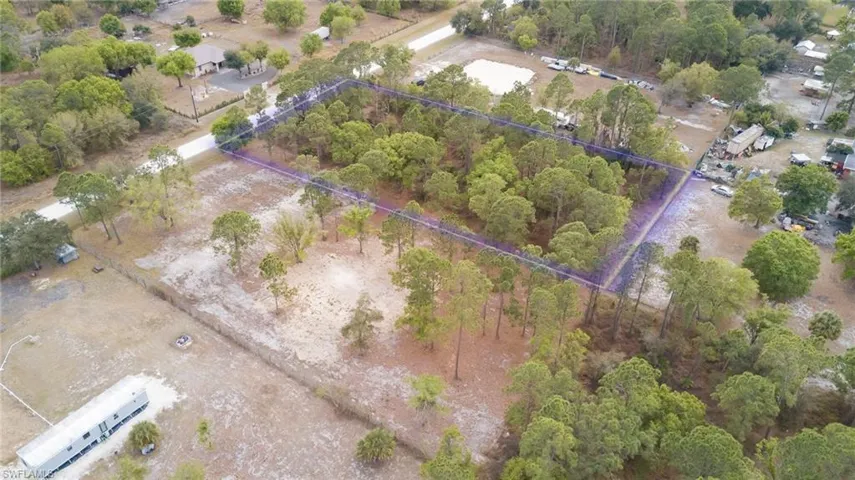 Bird's eye view of a tree filled landscape