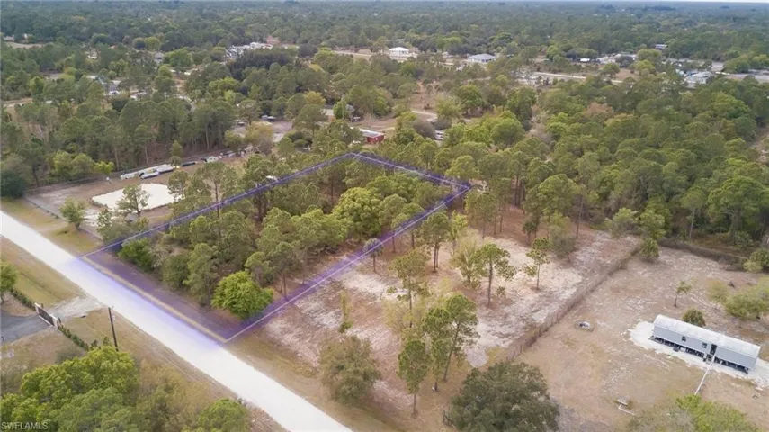 Drone / aerial view of a forest