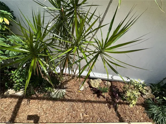 Clubhouse and pool area