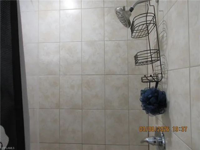 Bathroom view of a tile shower