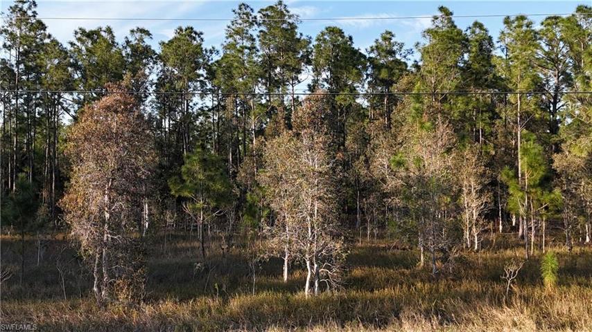 1231 Raccoon ST, LEHIGH ACRES FL 33974