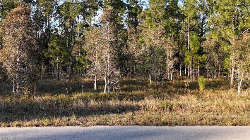 1231 Raccoon ST, LEHIGH ACRES FL 33974