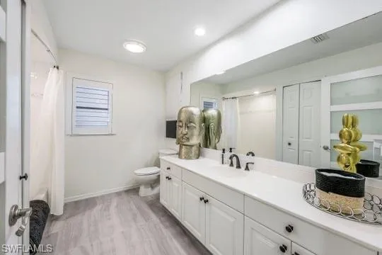 Bathroom featuring toilet, vanity, and hardwood / wood-style flooring