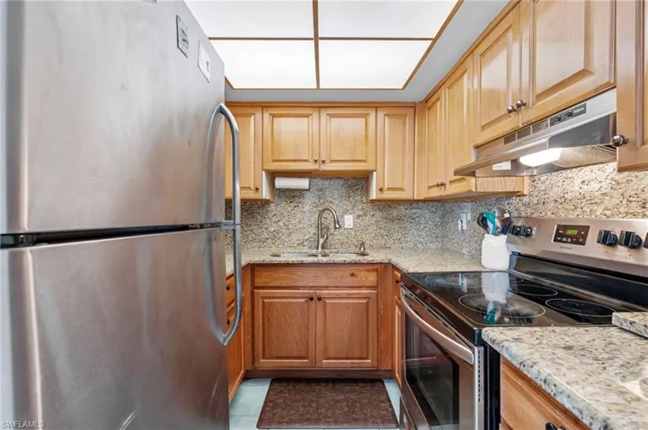 Kitchen with light stone countertops, stainless steel appliances, tasteful backsplash, under cabinet range hood, and a sink