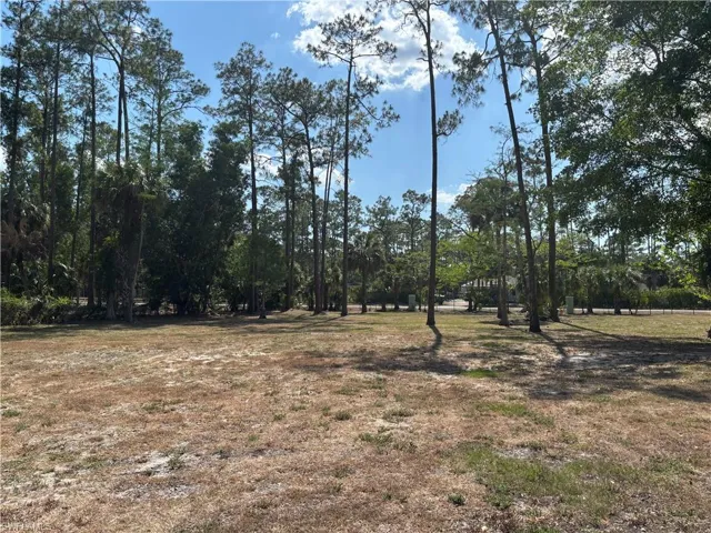 498 Wilson Blvd S, Naples Fl 34117