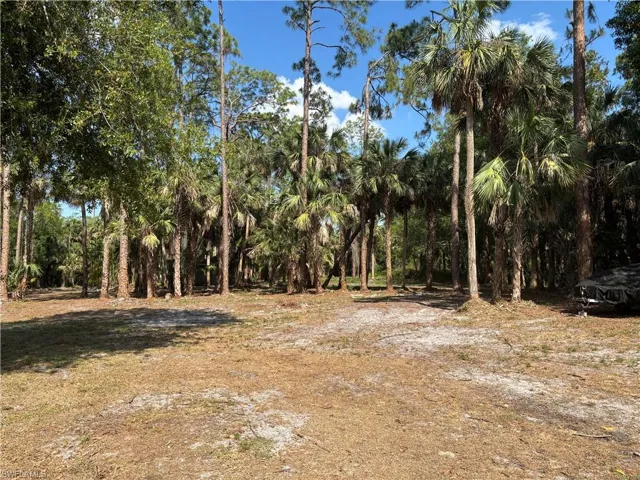 498 Wilson Blvd S, Naples Fl 34117