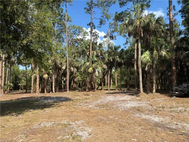 498 Wilson Blvd S, Naples Fl 34117
