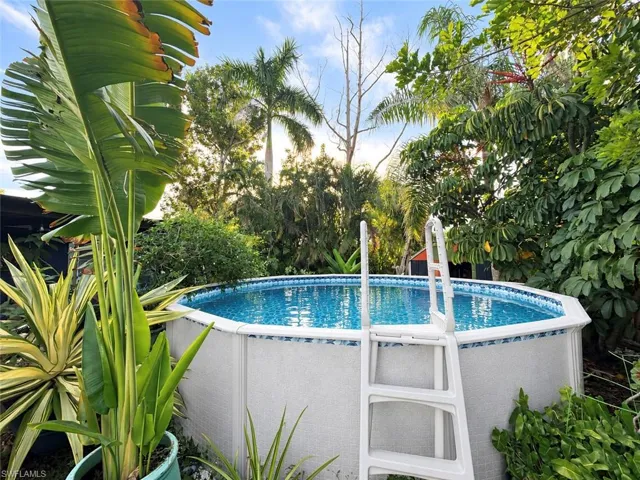 Above-ground swimming pool with attached ladder, surrounded by lush mature palm trees, broad-leaf plants, and dense tropical landscaping