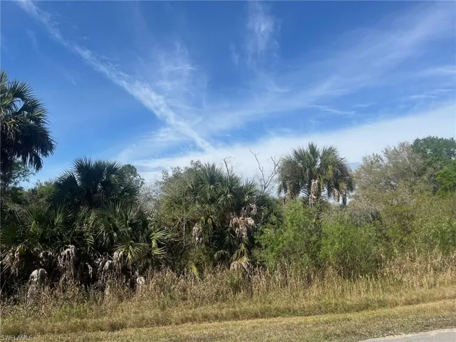 18th St Ne, Naples, Florida 34120