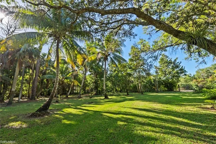 View of green lawn