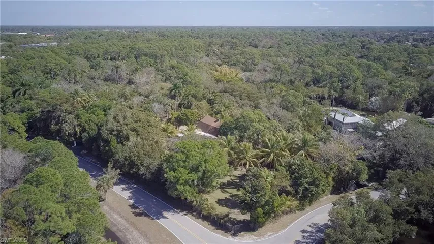 Aerial view of a forest