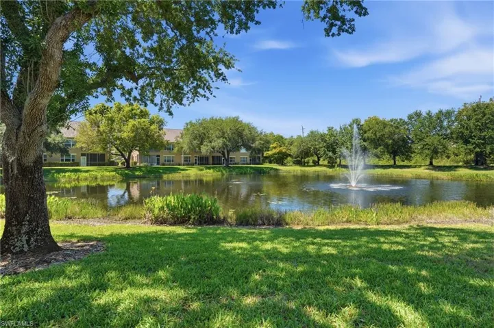 Serene Lake View