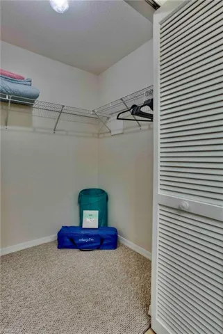 Spacious closet featuring carpet