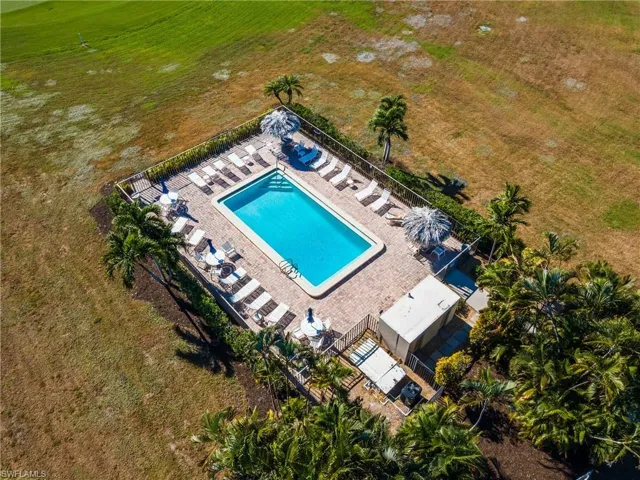 Fenced rectangular swimming pool surrounded by a brick paver deck, mature palm trees, and a privacy hedge
