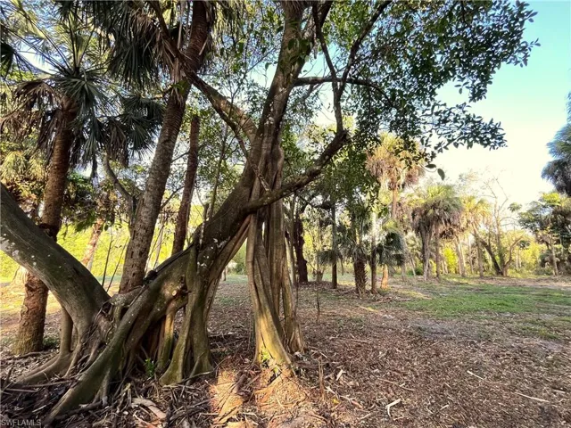 2250  North  RD, Naples, FL 34104
