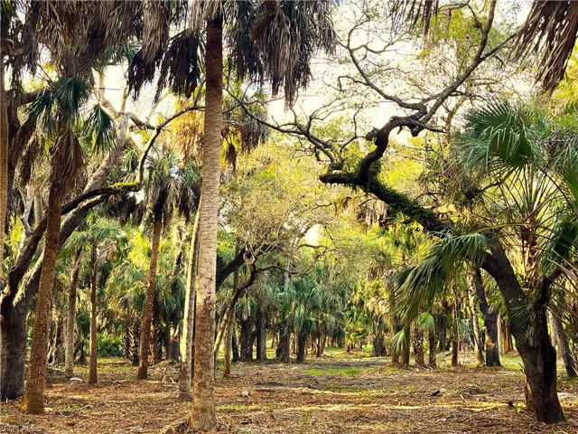 2250  North  RD, Naples, FL 34104