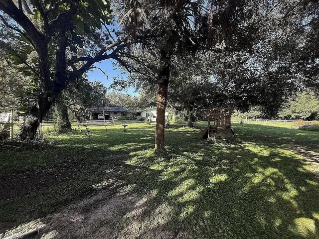 Shade trees and turnout
