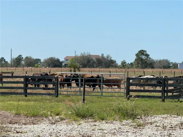 View of yard with a rural view and fence