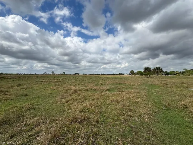 View of local wilderness with a rural view