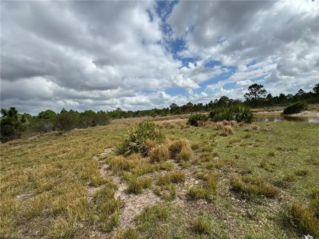 View of local wilderness featuring a rural view
