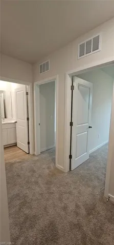 Plush carpet flooring, white interior doors, and a bathroom vanity with a basin sink