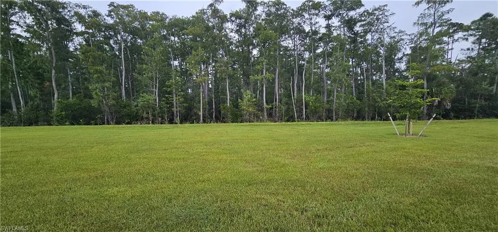 Expansive grass lawn with a natural tree line backdrop