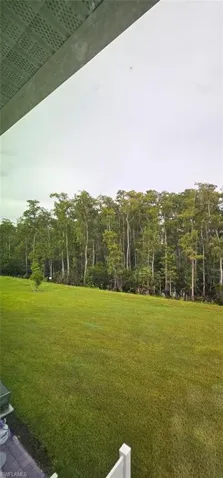 Expansive green lawn bordering a dense line of mature trees
