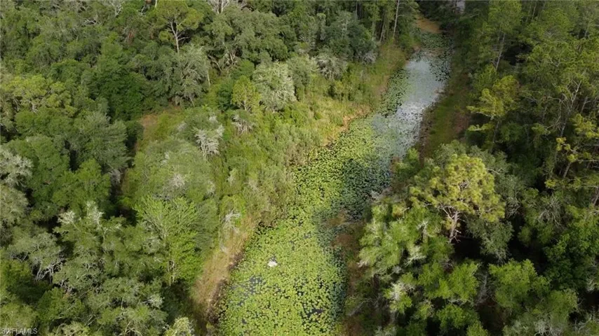 Winding waterway bordered by dense, mature foliage