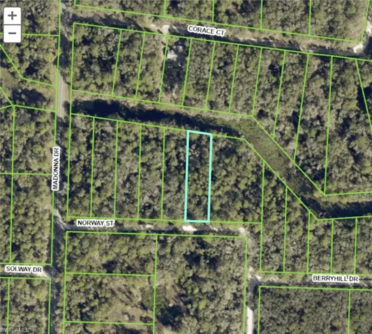 Plat Map. Illustrating the property's boundaries and surrounding parcels