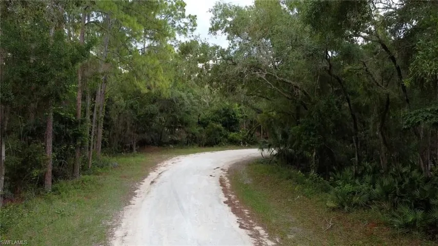 Curved gravel road surrounded by mature foliage