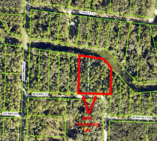 Aerial Map. This lot and the adjoining lot which is for sale, but both for a large homesite!