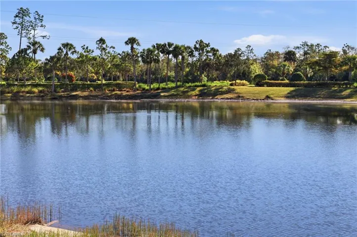 Water view