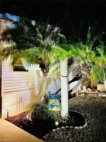 Exterior landscaping with palm trees, ground lighting, and decorative stone