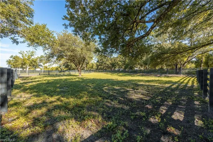 Stunning 100+ Year old Live Oaks