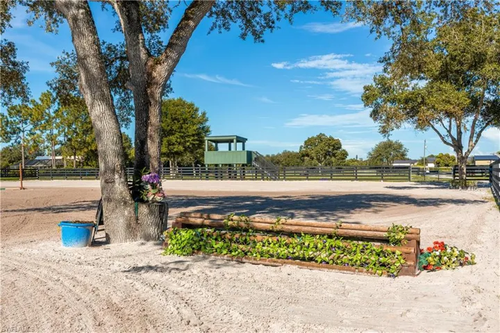 Oversized Arena to Train Your Horses