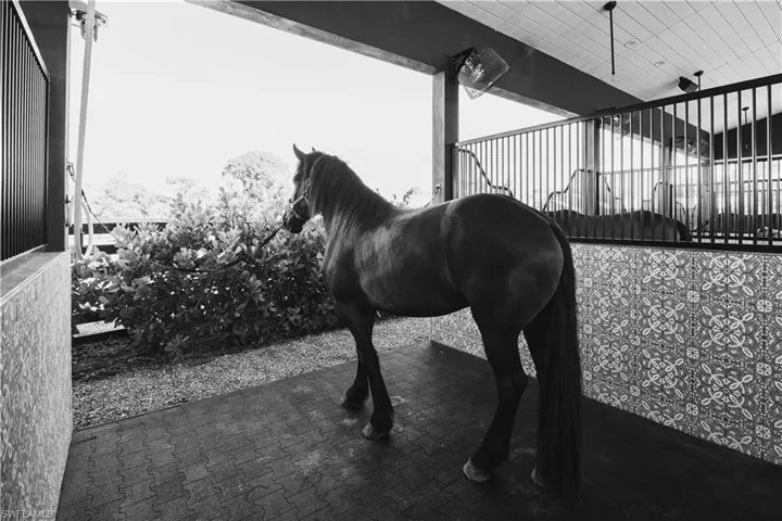 Main Barn Wash Stalls