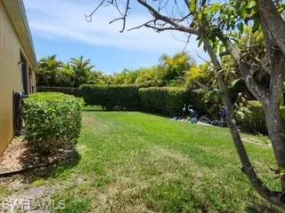 Expansive backyard featuring a manicured lawn, mature trees, and privacy hedges